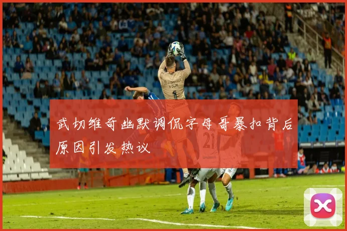 武切维奇幽默调侃字母哥暴扣背后原因引发热议