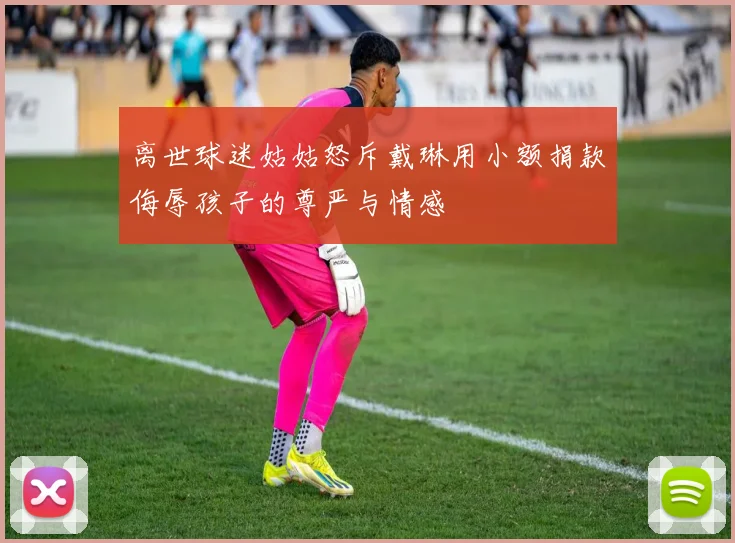 离世球迷姑姑怒斥戴琳用小额捐款侮辱孩子的尊严与情感