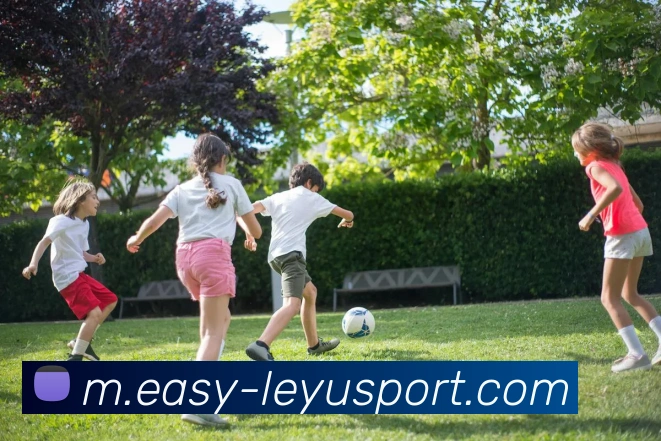 多媒体互动体验