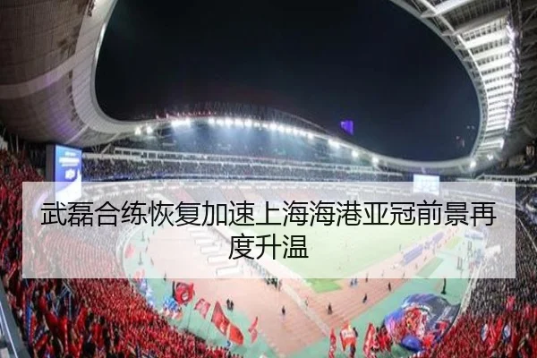 武磊合练恢复加速上海海港亚冠前景再度升温 | leyu.com